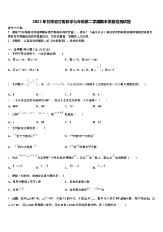2025年甘肃省甘南数学七年级第二学期期末质量检测试题含解析