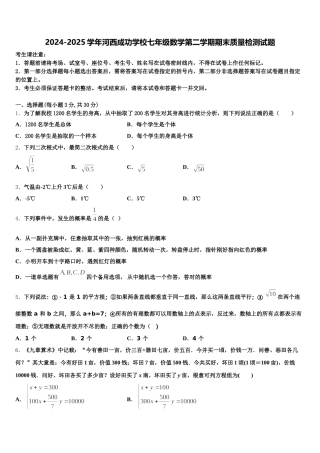 2024-2025学年河西成功学校七年级数学第二学期期末质量检测试题含解析