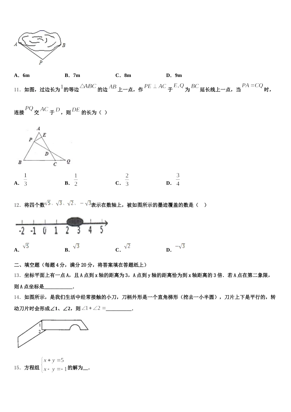 甘肃省金昌市金川区宁远中学2025年数学七年级第二学期期末检测试题含解析_第3页