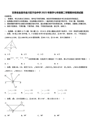 甘肃省金昌市金川区宁远中学2025年数学七年级第二学期期末检测试题含解析