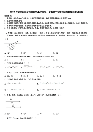 2025年甘肃省武威市民勤五中学数学七年级第二学期期末质量跟踪监视试题含解析