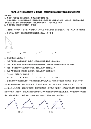 2024-2025学年甘肃省天水市第一中学数学七年级第二学期期末调研试题含解析