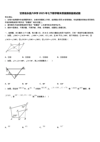 甘肃省永昌六中学2025年七下数学期末质量跟踪监视试题含解析