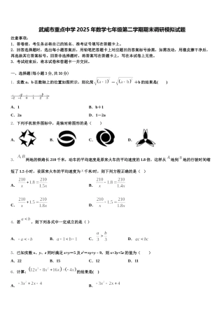 武威市重点中学2025年数学七年级第二学期期末调研模拟试题含解析