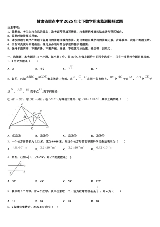 甘肃省重点中学2025年七下数学期末监测模拟试题含解析