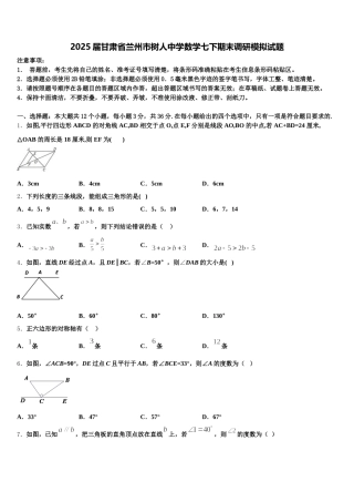 2025届甘肃省兰州市树人中学数学七下期末调研模拟试题含解析
