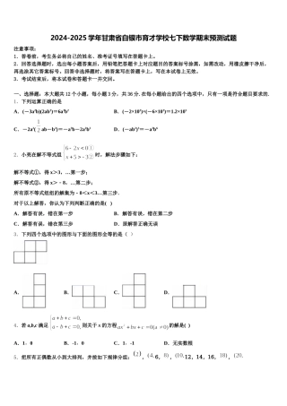 2024-2025学年甘肃省白银市育才学校七下数学期末预测试题含解析