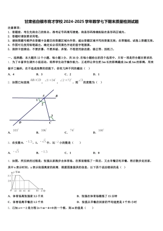 甘肃省白银市育才学校2024-2025学年数学七下期末质量检测试题含解析
