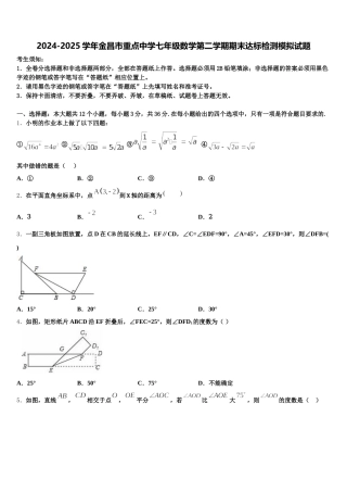 2024-2025学年金昌市重点中学七年级数学第二学期期末达标检测模拟试题含解析
