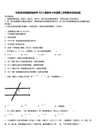 甘肃省庆阳镇原县联考2025届数学七年级第二学期期末检测试题含解析
