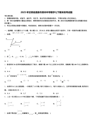 2025年甘肃省酒泉市肃州中学数学七下期末统考试题含解析