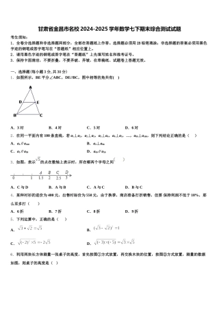 甘肃省金昌市名校2024-2025学年数学七下期末综合测试试题含解析