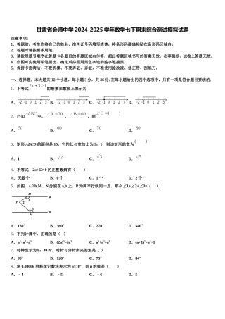 甘肃省会师中学2024-2025学年数学七下期末综合测试模拟试题含解析
