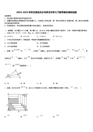 2024-2025学年甘肃省天水市罗玉中学七下数学期末调研试题含解析