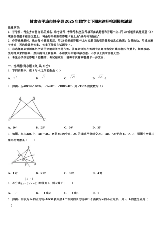 甘肃省平凉市静宁县2025年数学七下期末达标检测模拟试题含解析