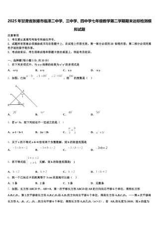 2025年甘肃省张掖市临泽二中学、三中学、四中学七年级数学第二学期期末达标检测模拟试题含解析