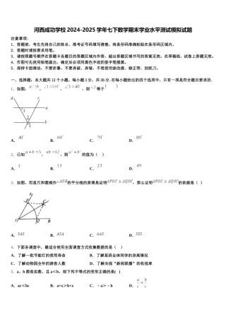 河西成功学校2024-2025学年七下数学期末学业水平测试模拟试题含解析