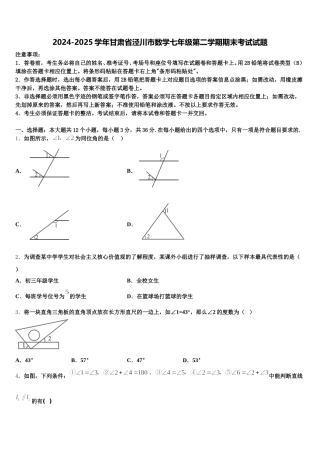 2024-2025学年甘肃省泾川市数学七年级第二学期期末考试试题含解析