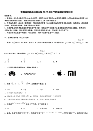 海南省临高县临高中学2025年七下数学期末统考试题含解析