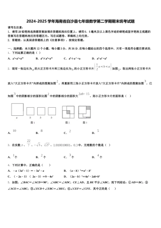 2024-2025学年海南省白沙县七年级数学第二学期期末统考试题含解析