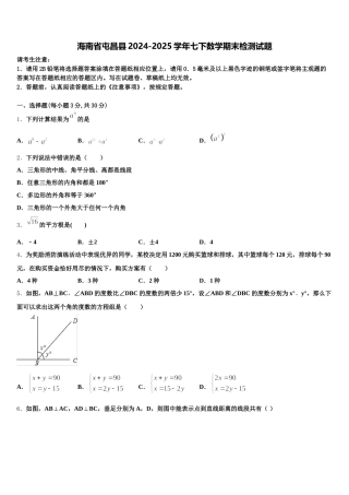 海南省屯昌县2024-2025学年七下数学期末检测试题含解析