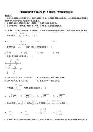海南省海口市丰南中学2025届数学七下期末检测试题含解析