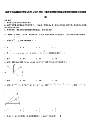 海南省临高县美台中学2024-2025学年七年级数学第二学期期末学业质量监测模拟试题含解析