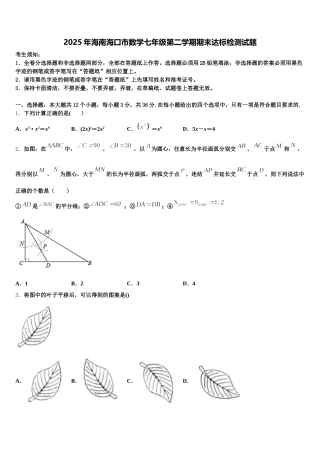 2025年海南海口市数学七年级第二学期期末达标检测试题含解析
