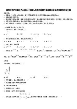 海南省海口市第十四中学2025届七年级数学第二学期期末教学质量检测模拟试题含解析