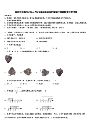 青海省海南市2024-2025学年七年级数学第二学期期末统考试题含解析
