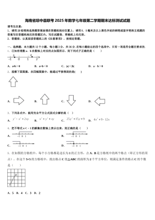 海南省琼中县联考2025年数学七年级第二学期期末达标测试试题含解析