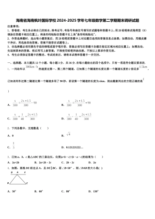 海南省海南枫叶国际学校2024-2025学年七年级数学第二学期期末调研试题含解析