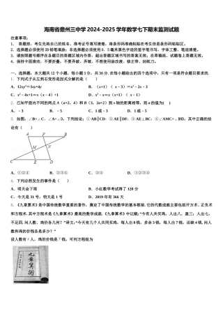 海南省儋州三中学2024-2025学年数学七下期末监测试题含解析