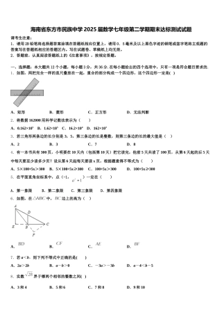 海南省东方市民族中学2025届数学七年级第二学期期末达标测试试题含解析