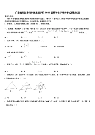 广东省阳江市阳东区星重学校2025届数学七下期末考试模拟试题含解析