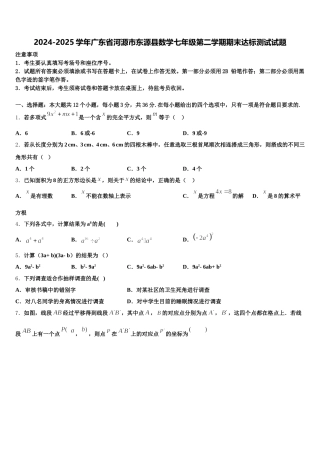 2024-2025学年广东省河源市东源县数学七年级第二学期期末达标测试试题含解析