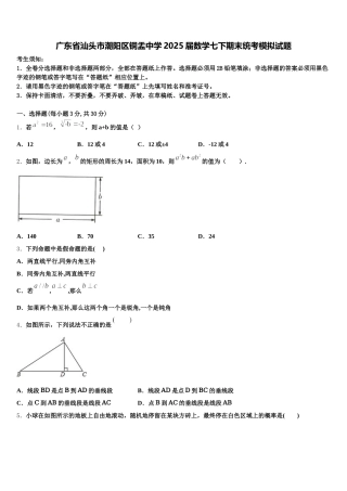 广东省汕头市潮阳区铜盂中学2025届数学七下期末统考模拟试题含解析