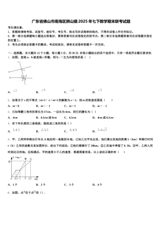 广东省佛山市南海区狮山镇2025年七下数学期末联考试题含解析