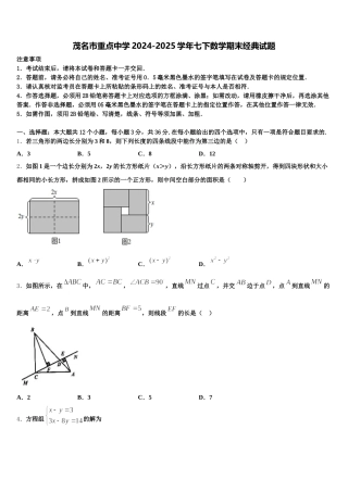 茂名市重点中学2024-2025学年七下数学期末经典试题含解析
