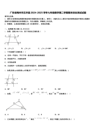 广东省梅州市五华县2024-2025学年七年级数学第二学期期末综合测试试题含解析
