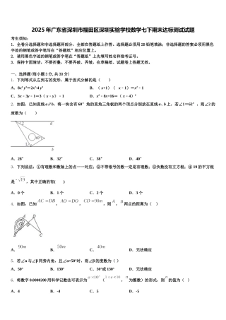 2025年广东省深圳市福田区深圳实验学校数学七下期末达标测试试题含解析