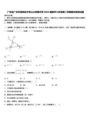 广东省广州市海珠区中学山大附属中学2025届数学七年级第二学期期末预测试题含解析