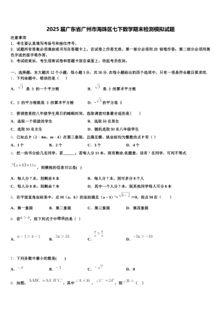 2025届广东省广州市海珠区七下数学期末检测模拟试题含解析