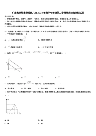 广东省惠城市惠城区八校2025年数学七年级第二学期期末综合测试试题含解析