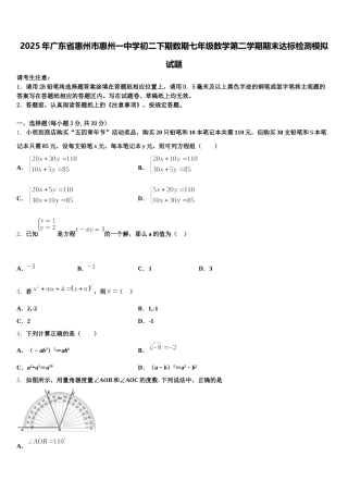 2025年广东省惠州市惠州一中学初二下期数期七年级数学第二学期期末达标检测模拟试题含解析