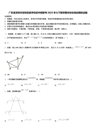广东省深圳市深圳实验学校初中部联考2025年七下数学期末综合测试模拟试题含解析