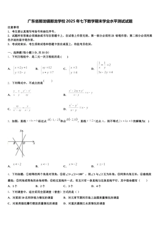 广东省那龙镇那龙学校2025年七下数学期末学业水平测试试题含解析