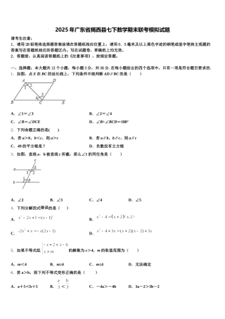 2025年广东省揭西县七下数学期末联考模拟试题含解析
