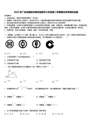 2025年广东省揭阳市惠来县数学七年级第二学期期末统考模拟试题含解析