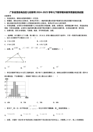 广东省茂名电白区七校联考2024-2025学年七下数学期末教学质量检测试题含解析